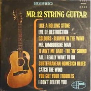 Mr. 12 String Guitar
