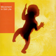 Movement in Still Life