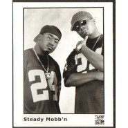 Steady Mobb'n