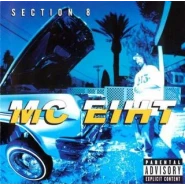 Section 8