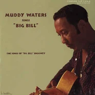 Muddy Waters Sings "Big Bill