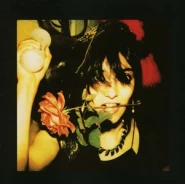 The Flowers of Romance