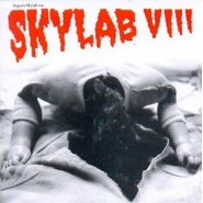 Skylab VIII