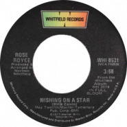 Wishing on a Star (Jay-Z song)