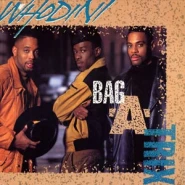 Bag-a-Trix