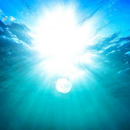Solar Wave