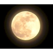 Moonglow