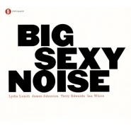 Big Sexy Noise