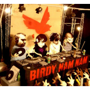 Birdy Nam Nam
