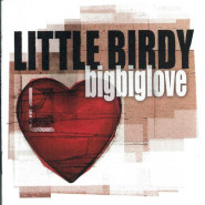 Bigbiglove