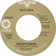 Wildflower