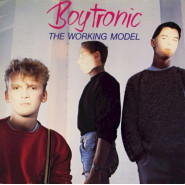 The Working Model