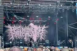 PeelingFlesh