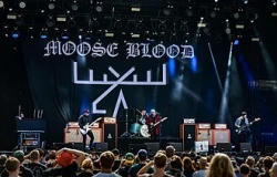 Moose Blood