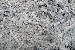 Ash