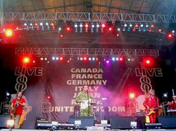 Igor & The Red Elvises