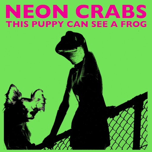 This Puppy Can See a Frog