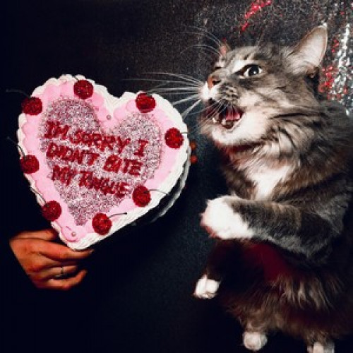 I'M SORRY I DIDN’T BITE MY TONGUE (DELUXE)