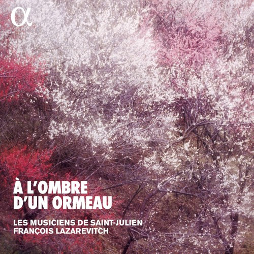 À l’ombre d’un ormeau : Brunettes & contredanses