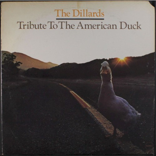 Tribute to the American Duck