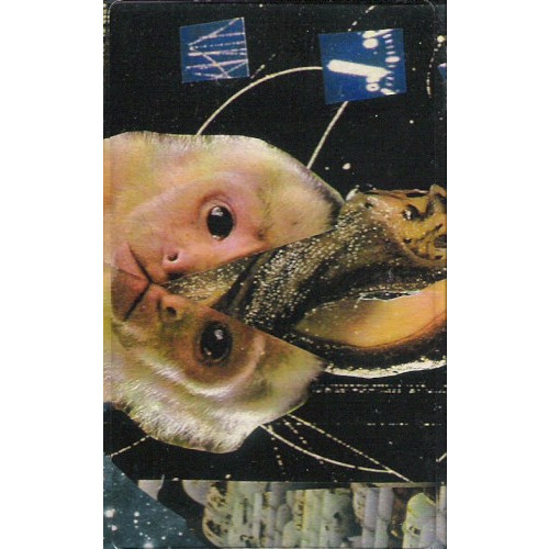 Ghost Moth | Fossils