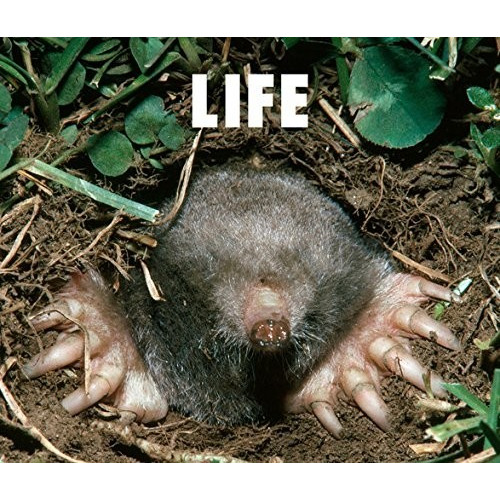 LIFE