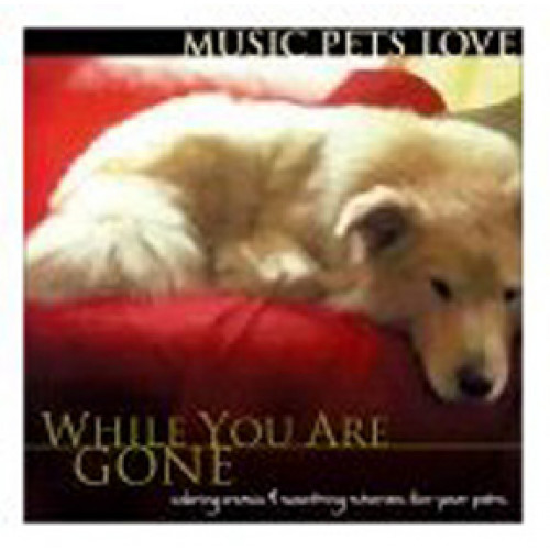 Music Pets Love: While You Are Gone