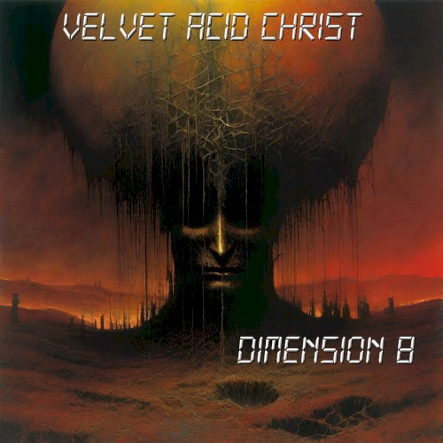 Dimension 8