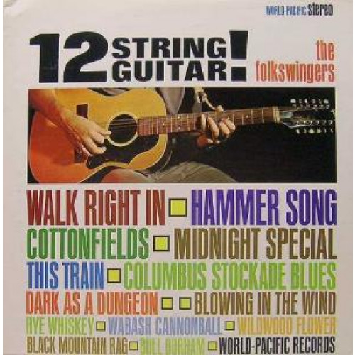 12 String Guitar!