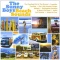 Beach Sounds