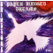 Paper Winged Dreams