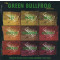 The Green Bullfrog Sessions