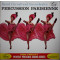 Percussion Parisienne