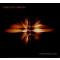 Unidentified Light