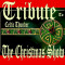 Tribute to Celtic Thunder the Christmas Show