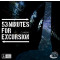 53 minutes for excursion
