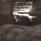 Undercurrent
