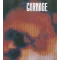 [untitled]