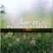 Whateverville