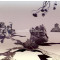 WHERE THE EARTH IS ROTTING AWAY