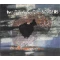 Instrumentals