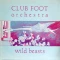 Wild Beasts