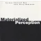 Materialized Perception
