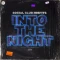 Into the Night