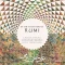 In the Footsteps of Rumi