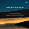 Nordic Lights in Persian Sky