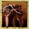 The Poacher Diaries