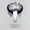 Skeleton Soul