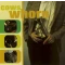 Whorn