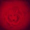 Rose Coyote